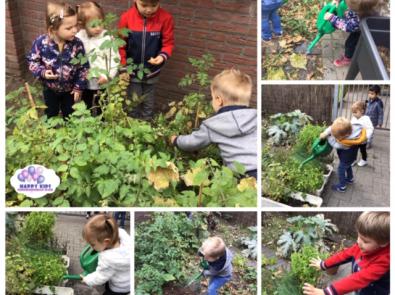 Happy Kids kinderdagverblijf werkt aan Gezonde Kinderopvang