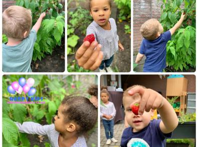 Happy Kids kinderdagverblijf en BSO Ede maakt eigen producten