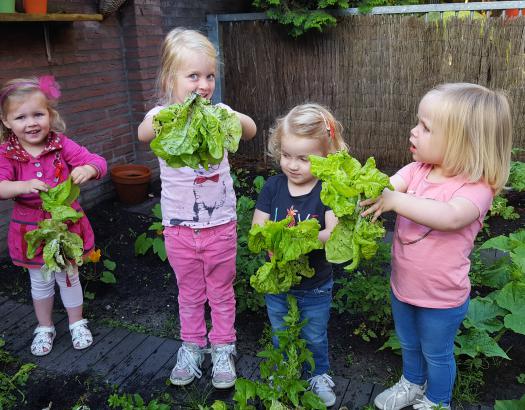 We hebben een groene visie