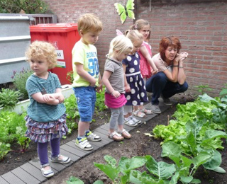 Onze moestuin